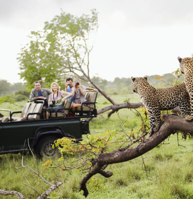 Tourists